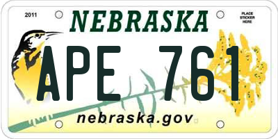 NE license plate APE761