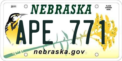 NE license plate APE771