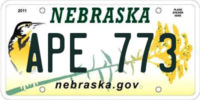 NE license plate APE773