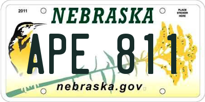 NE license plate APE811