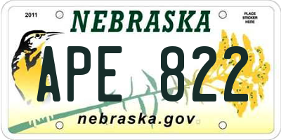 NE license plate APE822