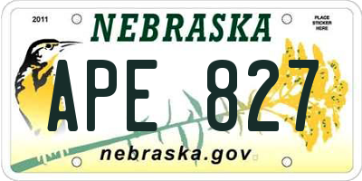 NE license plate APE827