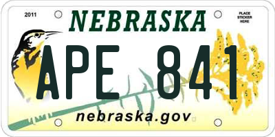 NE license plate APE841