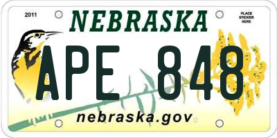 NE license plate APE848