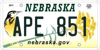 NE license plate APE851
