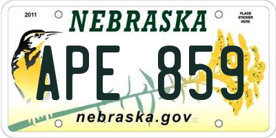 NE license plate APE859