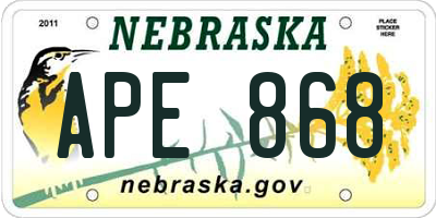 NE license plate APE868
