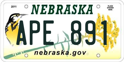 NE license plate APE891