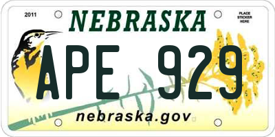NE license plate APE929