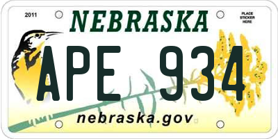 NE license plate APE934