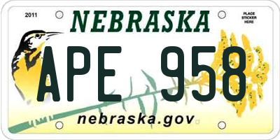 NE license plate APE958
