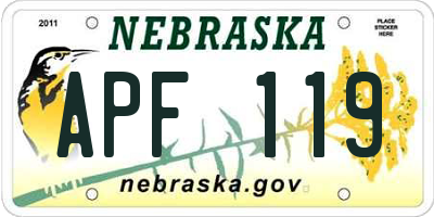 NE license plate APF119