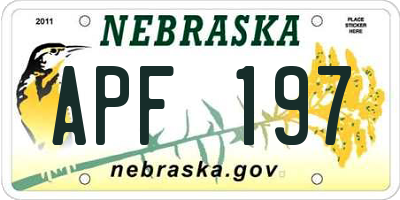 NE license plate APF197