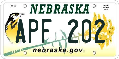 NE license plate APF202