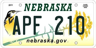NE license plate APF210