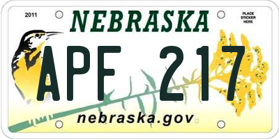 NE license plate APF217