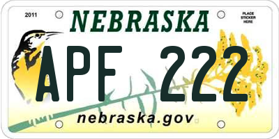 NE license plate APF222