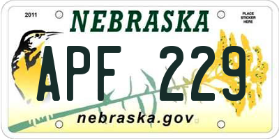 NE license plate APF229