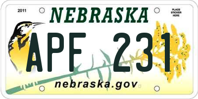 NE license plate APF231