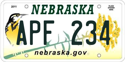 NE license plate APF234