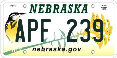 NE license plate APF239