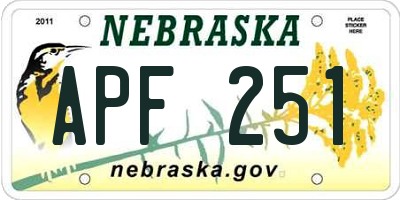 NE license plate APF251