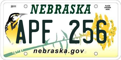 NE license plate APF256