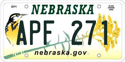 NE license plate APF271