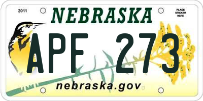 NE license plate APF273