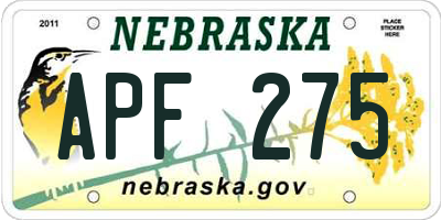 NE license plate APF275
