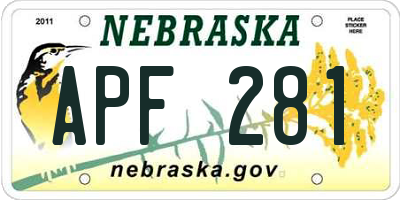 NE license plate APF281
