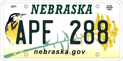 NE license plate APF288