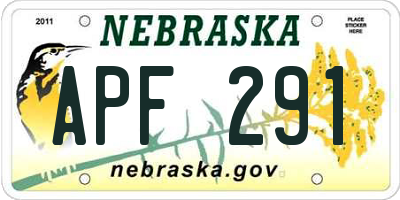 NE license plate APF291