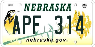 NE license plate APF314