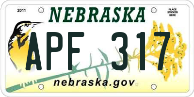 NE license plate APF317