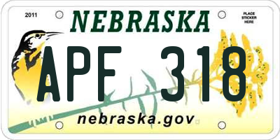 NE license plate APF318