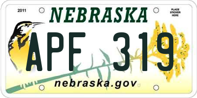 NE license plate APF319