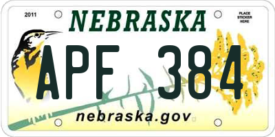 NE license plate APF384
