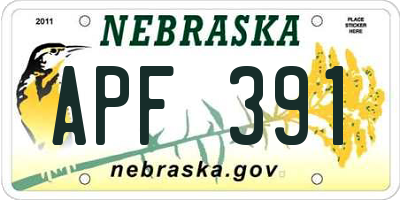 NE license plate APF391
