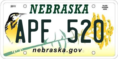 NE license plate APF520