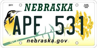 NE license plate APF531