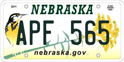 NE license plate APF565