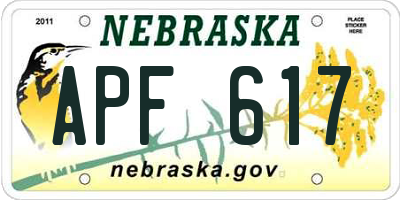 NE license plate APF617