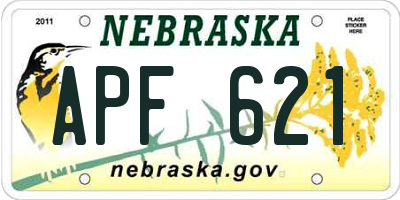 NE license plate APF621