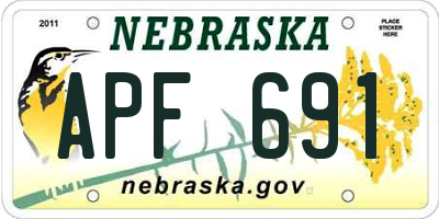 NE license plate APF691