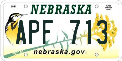 NE license plate APF713