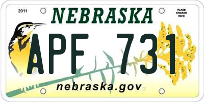 NE license plate APF731
