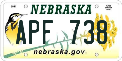 NE license plate APF738