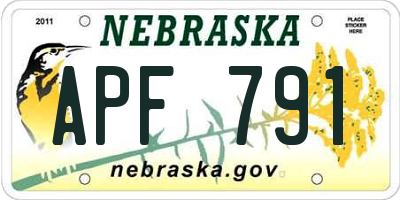 NE license plate APF791