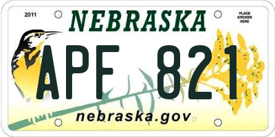NE license plate APF821